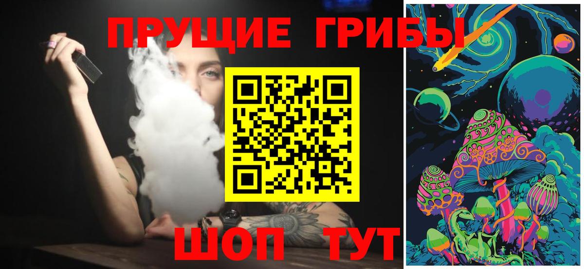 где купить наркоту  Псилоцибиновые грибы мухоморы  Вход с VPN  Псилоцибиновые грибы Psilocybine cubensis  Камышин 