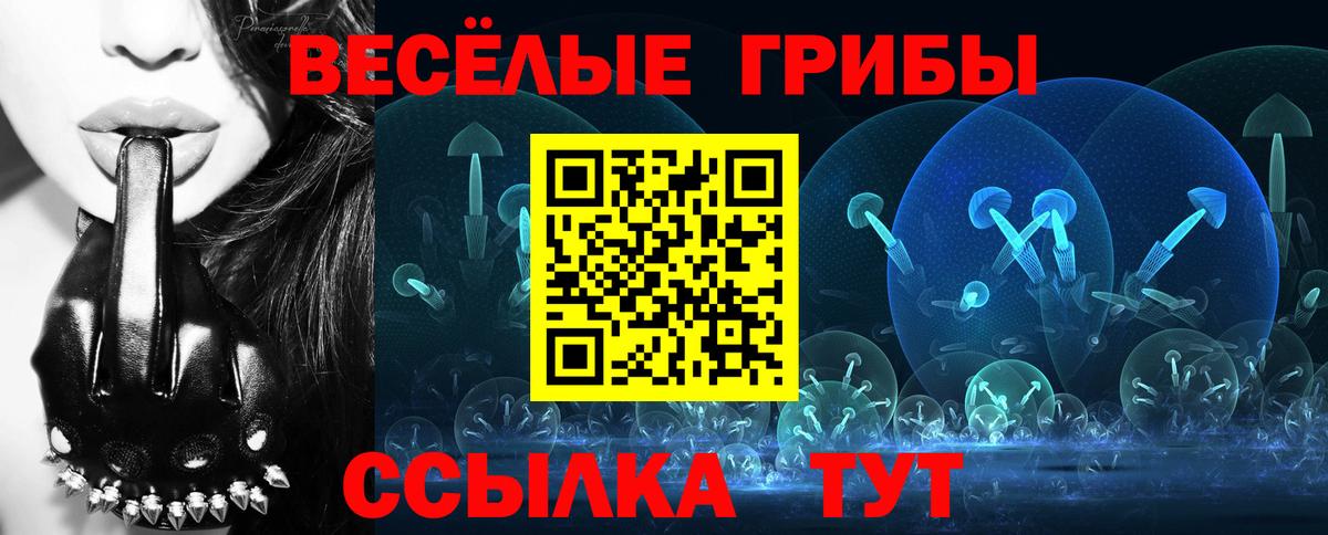 Галлюциногенные грибы GOLDEN TEACHER Камышин